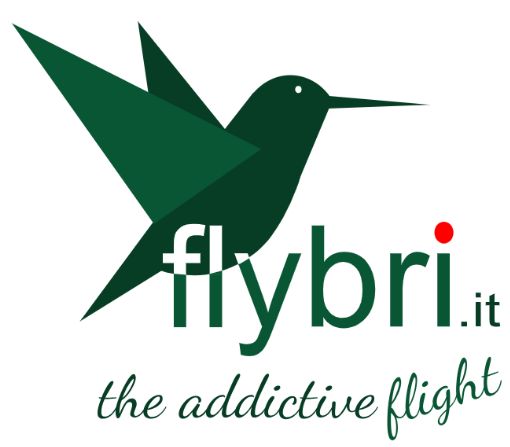 Flybri